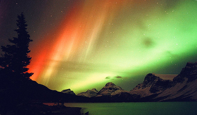 nevver:  Magnetic North