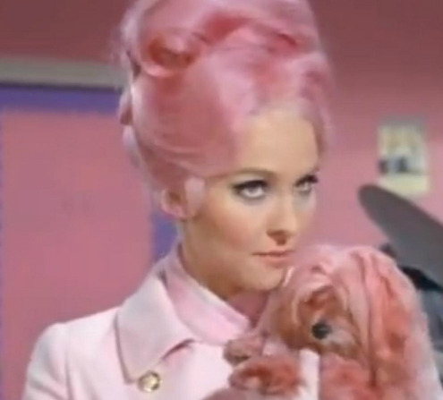 dandelionapril:  Pink + 60s Bouffants 