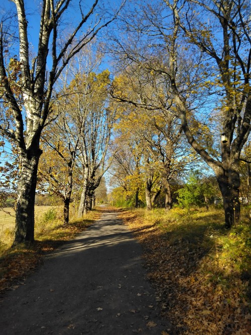 Another perfect autumn day 