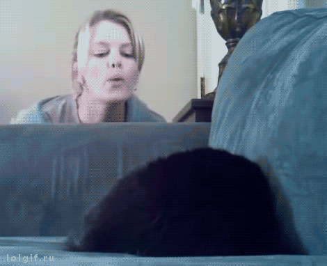 (Video: Deaf Cat Cant Figure Out Who Woke Him Up)