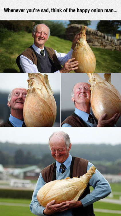 advice-animal:He Just Looks So Happy With His Onionadvice-animal.tumblr.com/