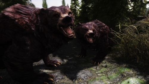 pink-reindeer:mo-bear0417:[Mudcrab_Bear_Wisp-Armor]久しぶりのBears! Bears!! Bears!!!wat