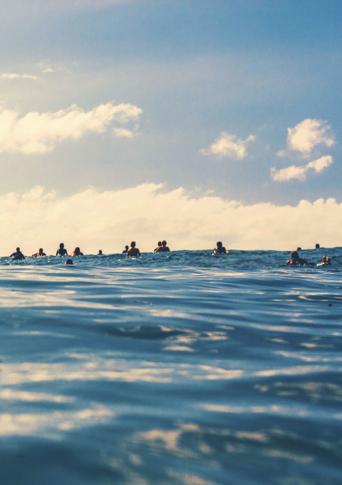 aspworldtour:  Waves are on the way.  2014 Billabong Pipe Masters Forecast  Photo | wjameskessel 