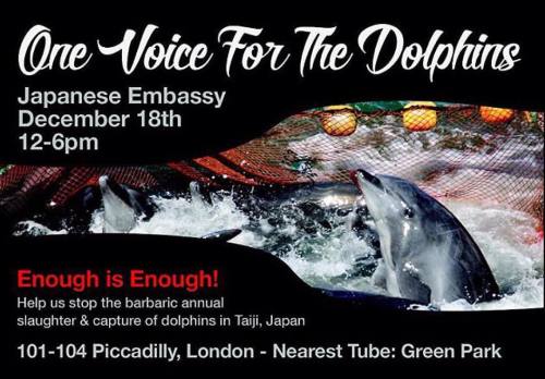 December 18th in #London at the #JapaneseEmbassy will be a protest for the #dolphinslaughter in #Tai