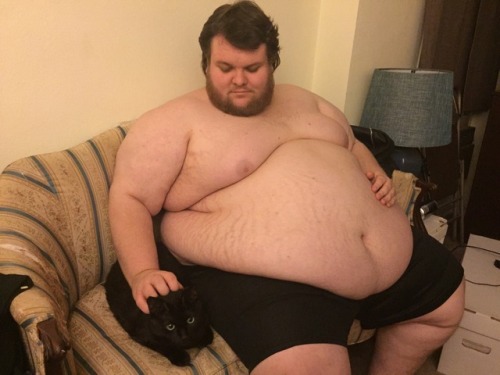 Porn Pics fatbestfriend:  Cats love fats it’s science.