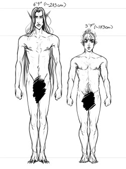 Height and body chart for Vikrolomen and