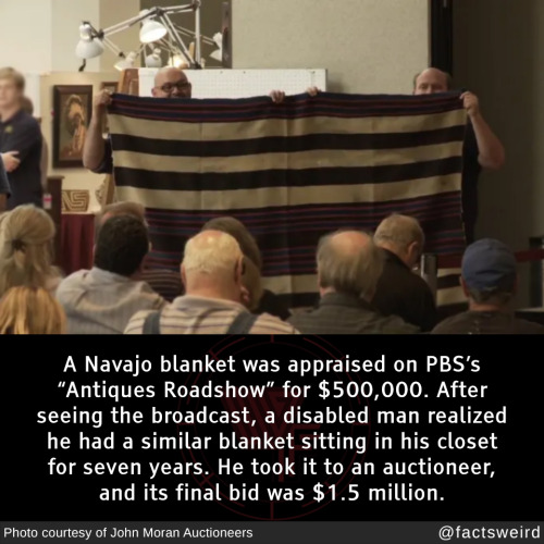 A Navajo blanket was appraised on PBS’s “Antiques Roadshow” for $500,000. After seeing the broadcast