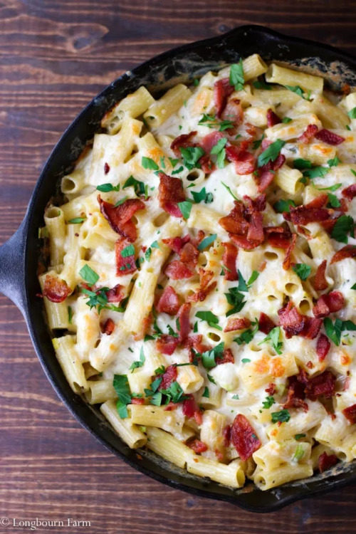 verticalfood:Cheesy Alfredo Pasta Bake Recipe