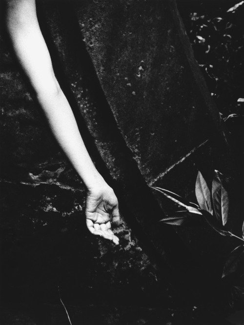 Maura Sullivan (American, b. 1971, Hartford, CT, USA) - 1: Sylvia  2: Pearl  3: Lost Dream  4: The L