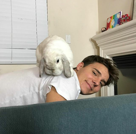 Blonde Bunny Bailey Blonde Bunny Bailey