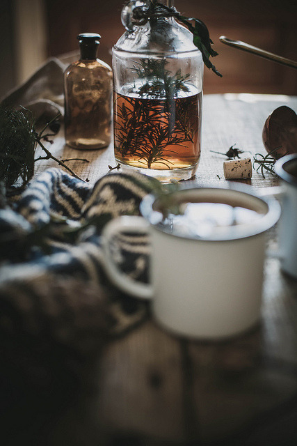 morg-ana:  wistfullycountry:  hot buttered fig + rosemary bourbon cider by Beth Kirby