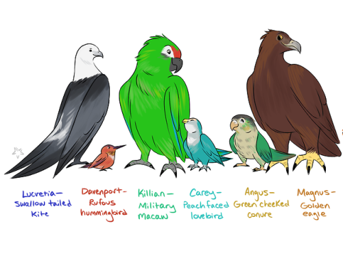 hiddeninmyhoodie: Maureen mighta seen 7 birds but I’m up to 11 lmao This drawing was based on 