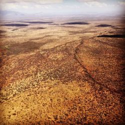 Beautiful Samburu #africa #kenya #savetheelephants