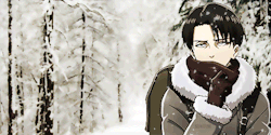 Bertholdts:    You Damn Brats (눈‸눈)     