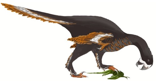 rhamphotheca:Meet the Original Birds in a Field Guide to Winged Dinosaursby Brandon KeimHas any pale