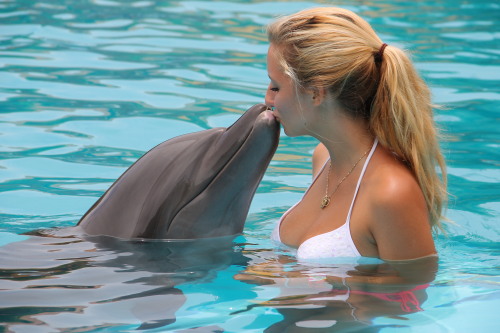 bbralejandra.tumblr.com/post/58150324769/