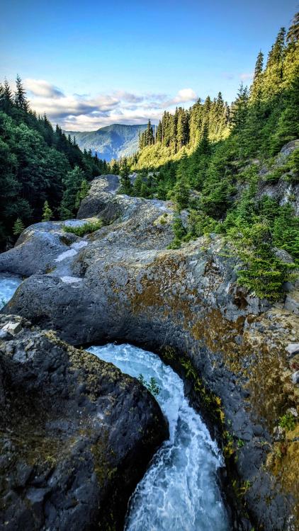 amazinglybeautifulphotography:Lava Canyon Trail - Mt St Helens [OC] [2160x3840] - Author: LMHConcepts on Reddit