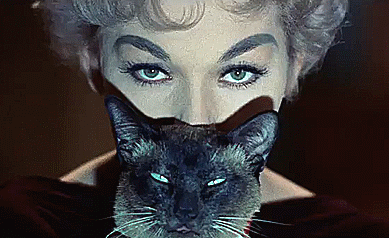 Kim Novak And Pyewacket In The Columbia Pictures/Richard Quine Supernatural Comedy-drama Bell, Book And