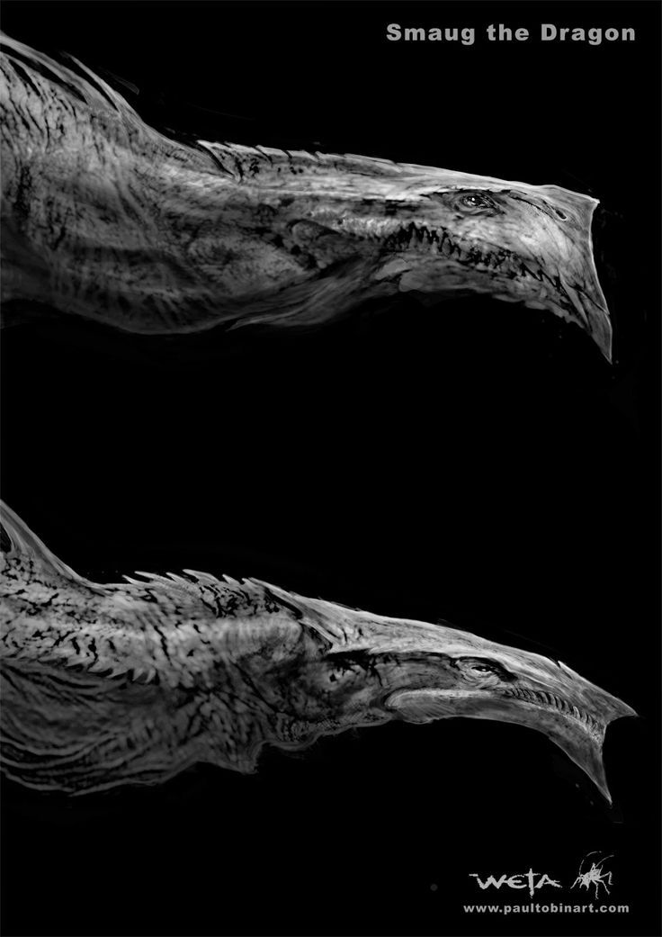 mustang-sauvage: Smaug Head Concept Arts by Paul Tobin 
