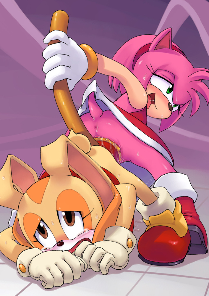 nsfw-lesbian-cartoons-members:  Lesbian Amy rose Request filled Source E621 