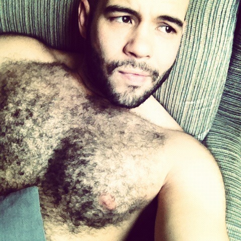 frenchbbbear: