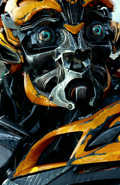 XXX verticalfilm: Transformers: Age of Extinction photo