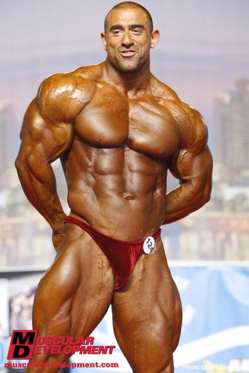 MUSCLE MEN OBSESSION