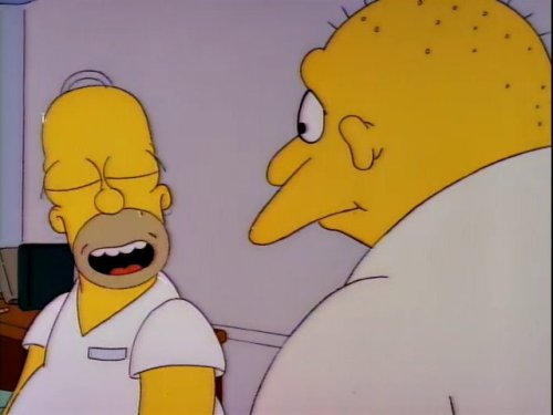 Front Facing Homer Simpson(Stark Raving Dad)