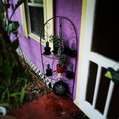 I&rsquo;ve been missing my porch garden. I got around to using my tombstone herb stakes finally.