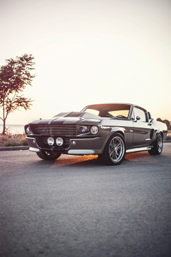 italian-luxury:  Shelby GT 500 ” Eleanor