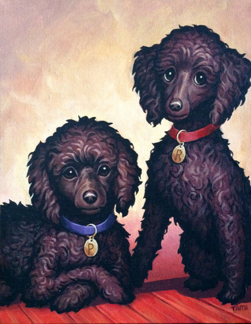 A portrait of my boyfriend’s family poodles that I painted as a gift for his parents. Both dog