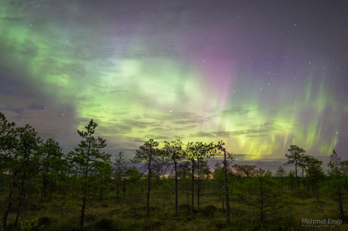 radivs:  Northern Lights and Clouds  1 | 2 | 3  by Mehmet Eralp 