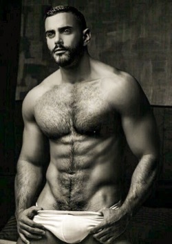 HAIRY BEARS AND SEXY MEN