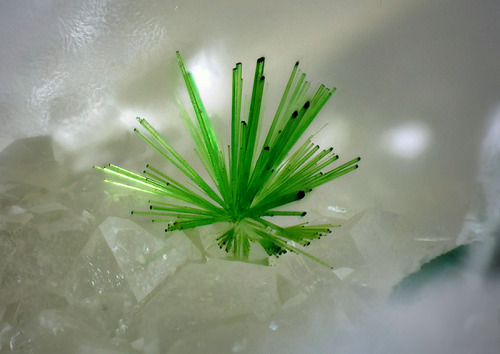 ifuckingloveminerals:  Agardite-(Ce)Clara Mine, Rankach valley, Oberwolfach, Wolfach, Black Forest, Baden-Württemberg, Germany 