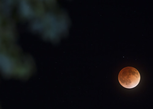 mypubliclands:  A few of our favorite moonlight shots over BLM-managed land.   Photos and time-lapse photography by Bob Wick, BLM 