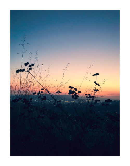 40hotmom:leahberman:sunset stories via iphone