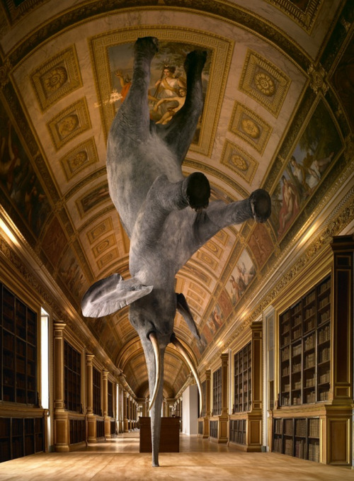 Daniel Firman, Würsa 18,000 km above the Earth, 2006-2008, Elephant sculpture/taxidermy, 570 x 250 x