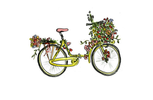 r-a-b-i-s-c-a-n-d-o:  by Rebecca Mcmillan