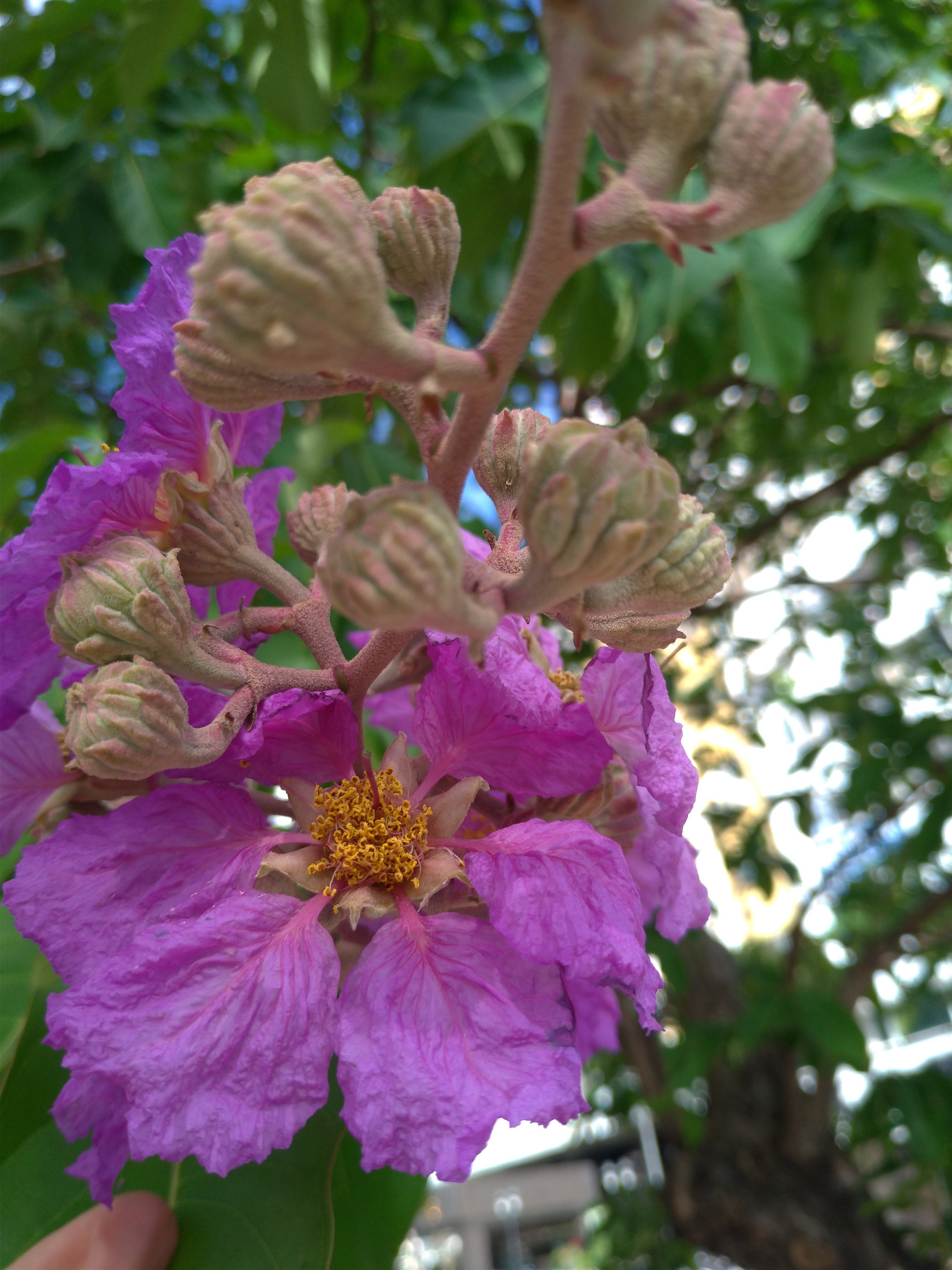 花滑 Explore Tumblr Posts And Blogs Tumgir 花滑 Explore Tumblr Posts And Blogs Tumgir