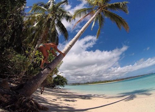 coconut climbing harder than it looks @_mermaid_vision_ @samimadison #survivortogat #coconut #mentaw