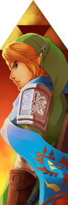 monado-barrette:  Hyrule Warriors Link by mishelly88