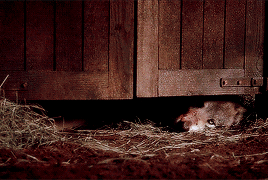 allnerds:countdown to season 8  →  Day 6 Saddest moment(s):   Death is the enemy.
