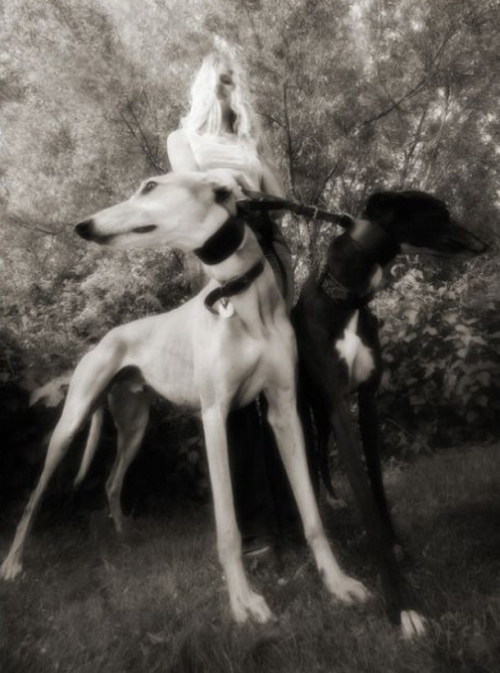 elsadreams: ©Douglas Vernimmen   “The Lady with the Two Dogs”