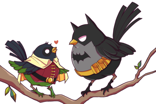 hwanwol:  Bird bat & nightwing & damian Cat Kon-el  ٩( ᐛ )و !!!