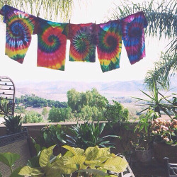 paradise-is-goodvibes:  🌻🌈 on We Heart It.