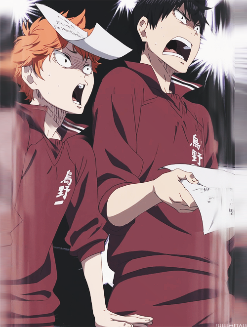 tumblr photo trafalgar-law-ya 0
