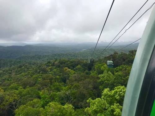 i-traveltheworld: Skyrail Rainforest Cableway, Cairns, Australia❤️❤️