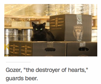 Cats, the ultimate weapon in public health