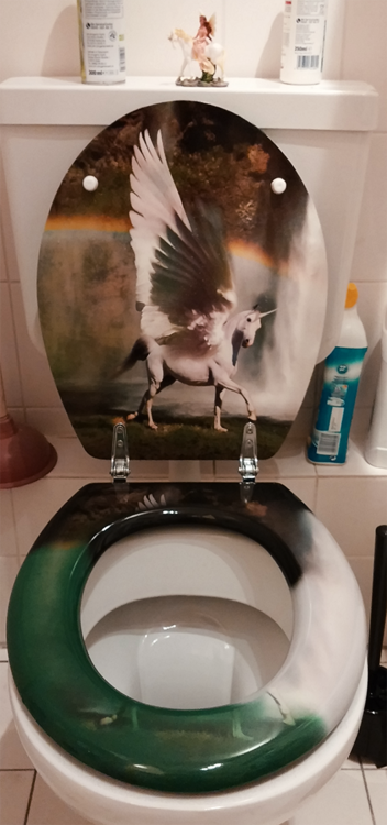 goingloco:  goingloco:  I needed a new toilet seat so I went on ebay and searched