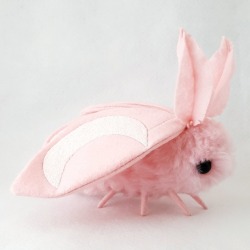 sanzuwuya:  sosuperawesome:  Plush MothsThe